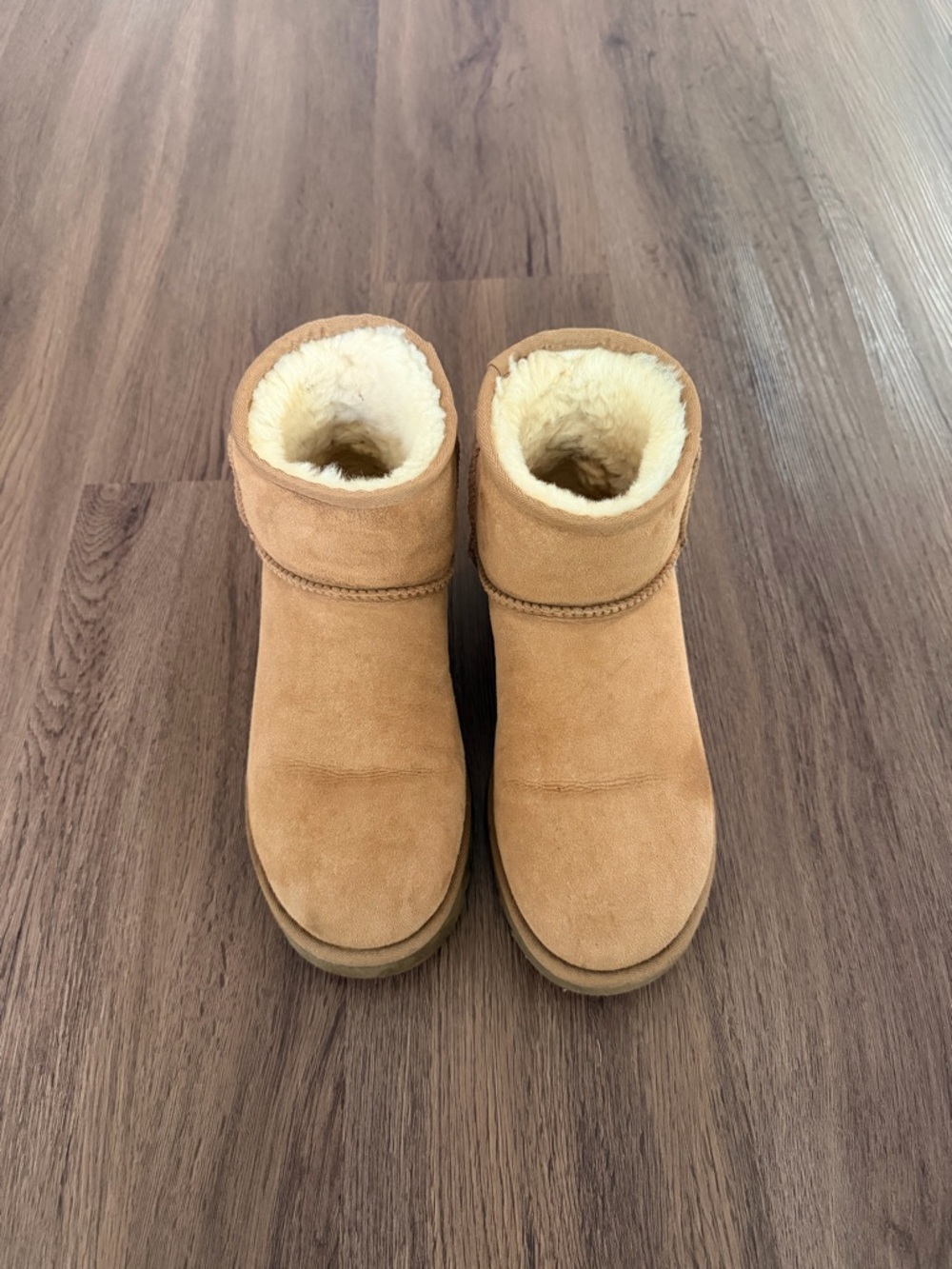 UGG Chestnut Shearling-Lined Boot Interior